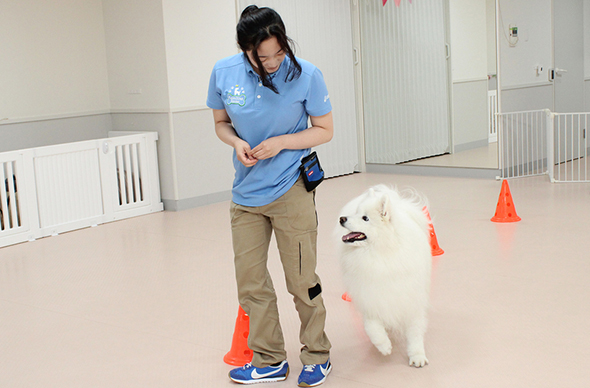 ヤマザキ動物看護専門職短期大学のcampusgallery