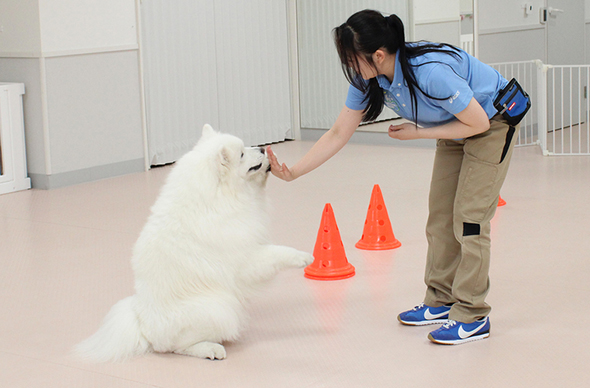 ヤマザキ動物看護専門職短期大学のcampusgallery