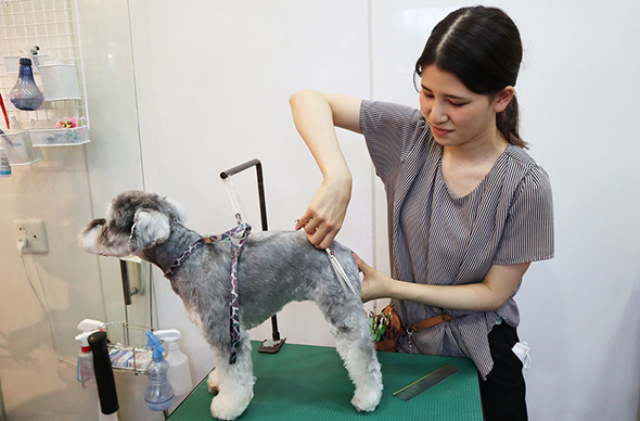 ヤマザキ動物看護専門職短期大学のcampusgallery