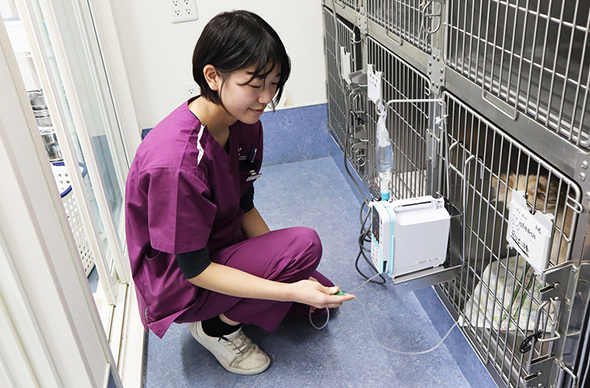 ヤマザキ動物看護専門職短期大学のcampusgallery