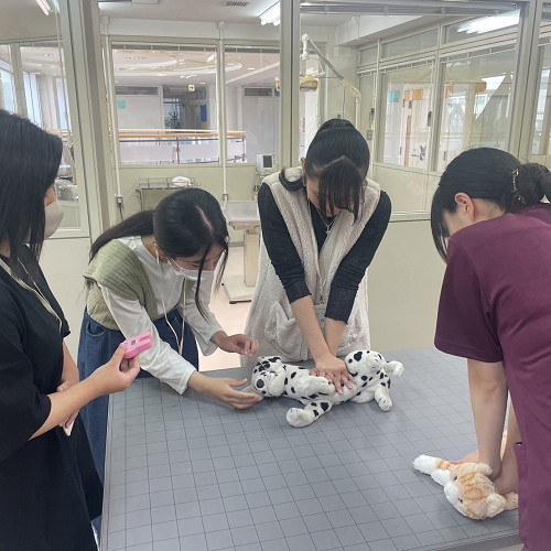 吉田学園動物看護専門学校のオープンキャンパス