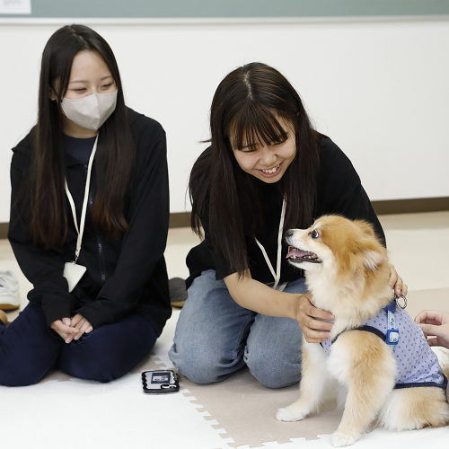 吉田学園動物看護専門学校のオープンキャンパス