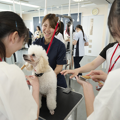 中央動物専門学校のオープンキャンパス