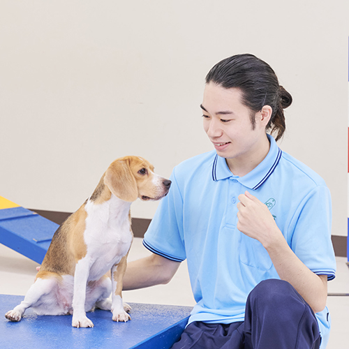 中央動物専門学校のオープンキャンパス