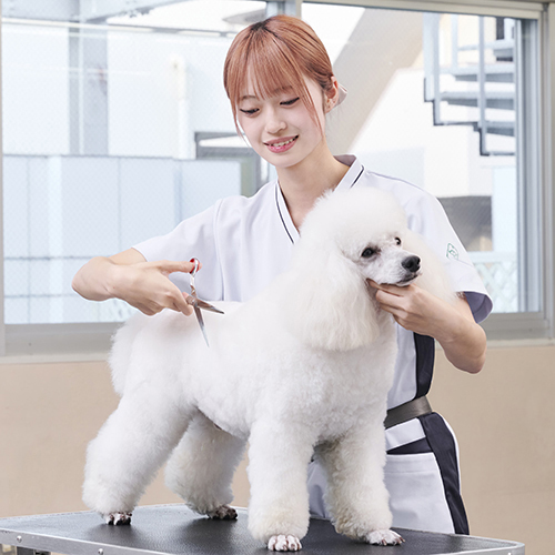中央動物専門学校のオープンキャンパス