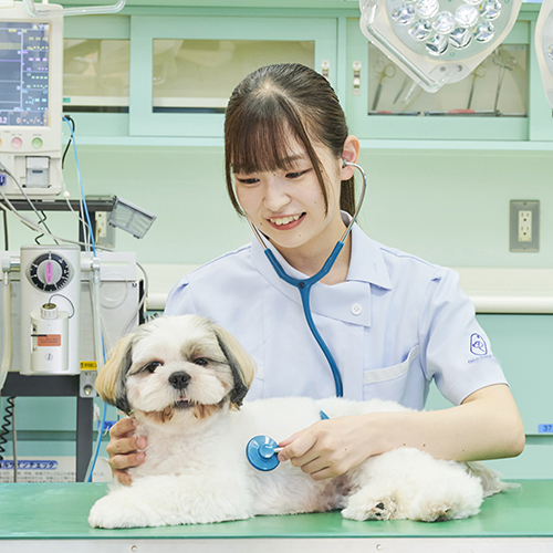 中央動物専門学校のオープンキャンパス