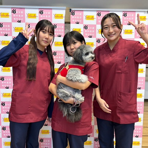 吉田学園動物看護専門学校のオープンキャンパス