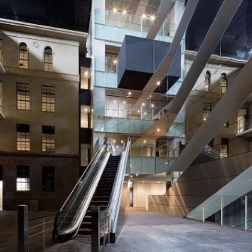 早稲田大学のオープンキャンパス
