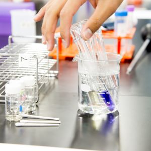 横浜薬科大学のオープンキャンパス