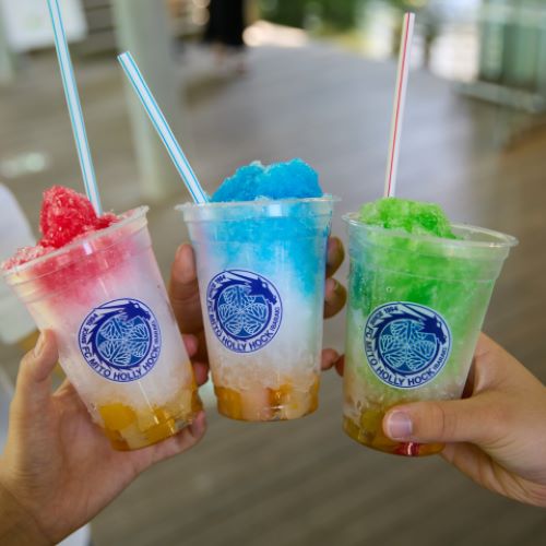 相模女子大学のオープンキャンパス