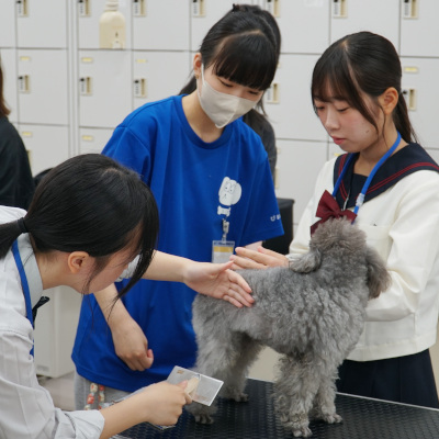 広島情報ビジネス専門学校のオープンキャンパス