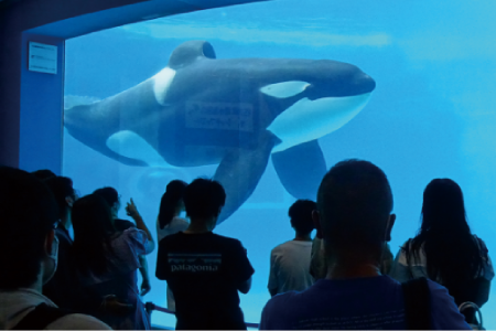 ECC学園高等学校の学校生活