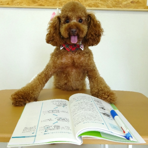 第一学院高等学校　犬山キャンパス