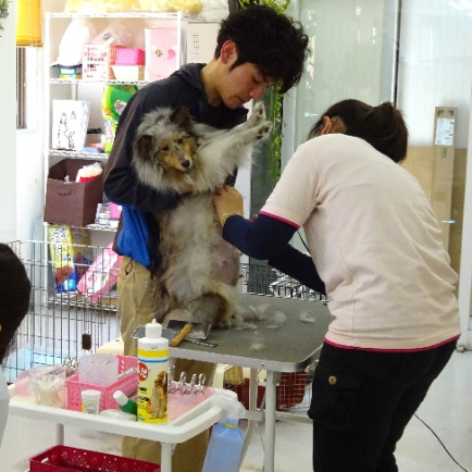 第一学院高等学校　犬山キャンパス