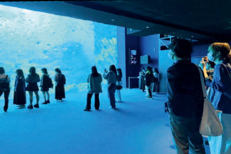 水族館見学（飛鳥未来高等学校　仙台キャンパス）