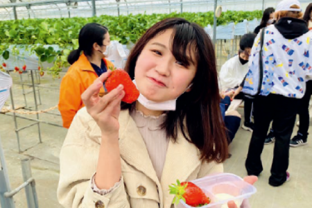 いちご狩り（飛鳥未来高等学校　名古屋キャンパス）